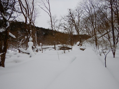 DSCN3079