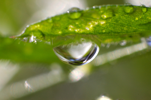 28-300 f3.5-6.5