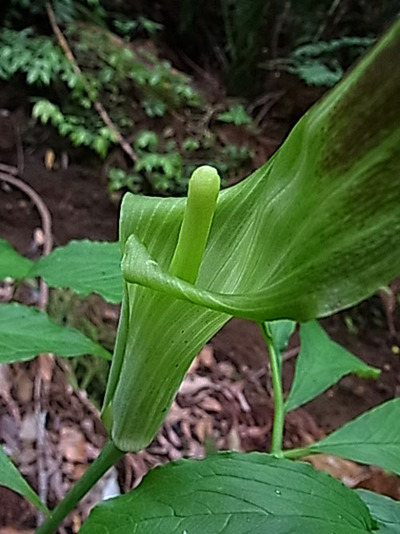 044