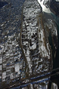 IMGP6295