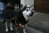 IMG_0001