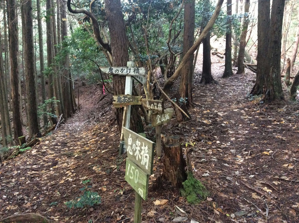 鬼の架け橋への登山道11