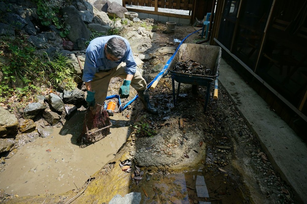 水庭池の掃除