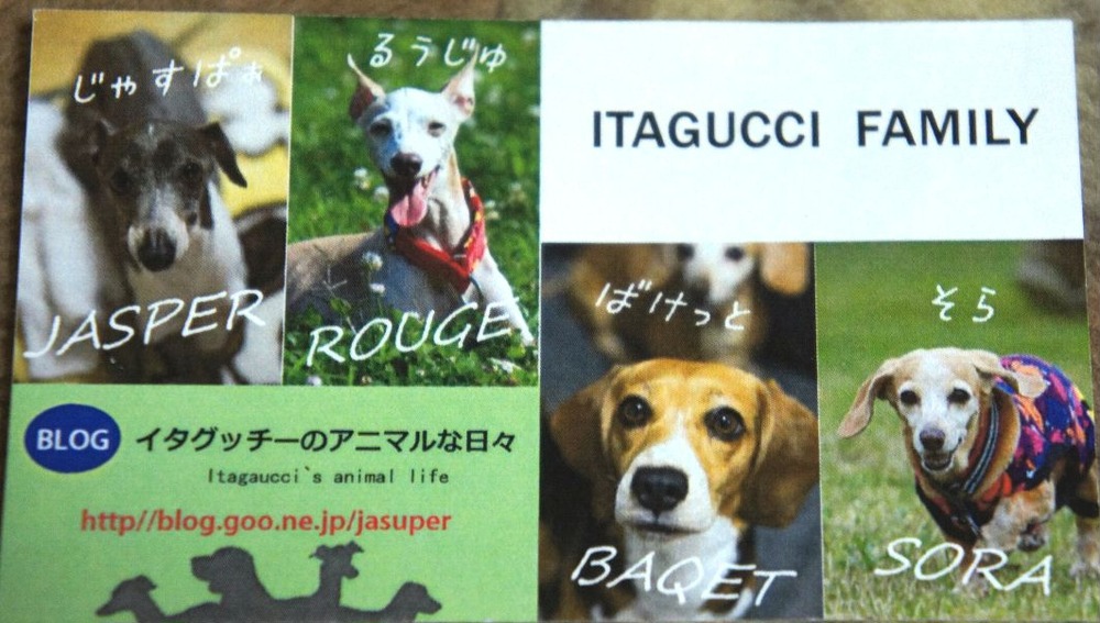 犬の名刺