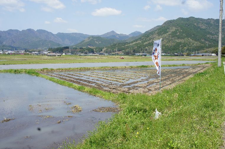三角畑の水