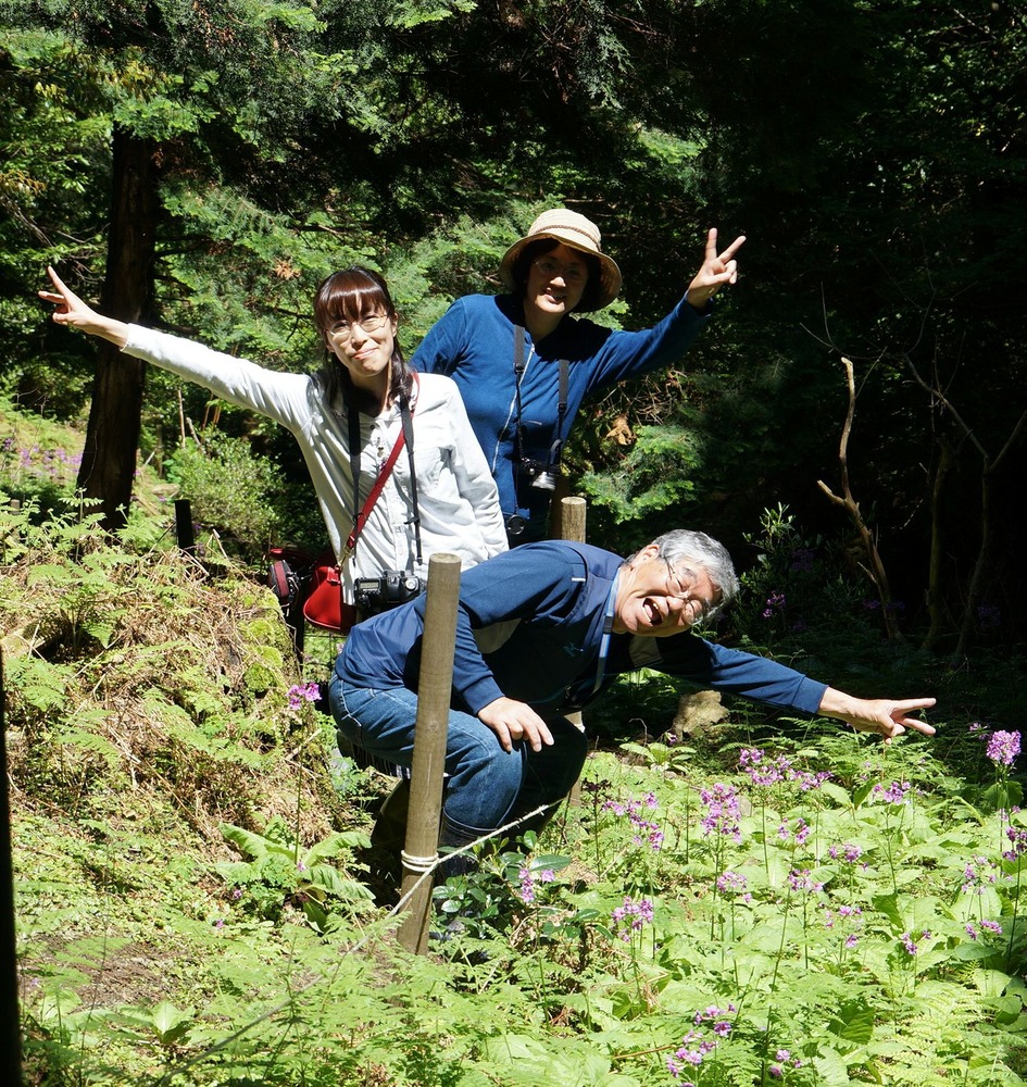 妙高山九輪草8