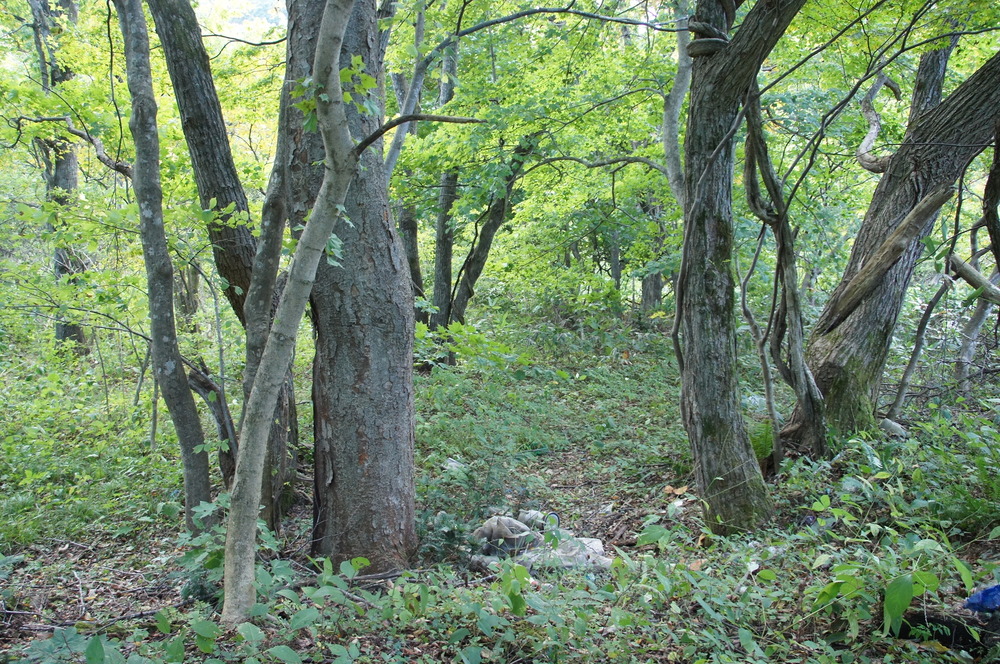 DSC01756