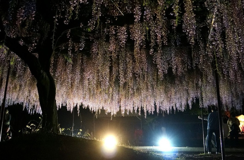 ５月７日夜6