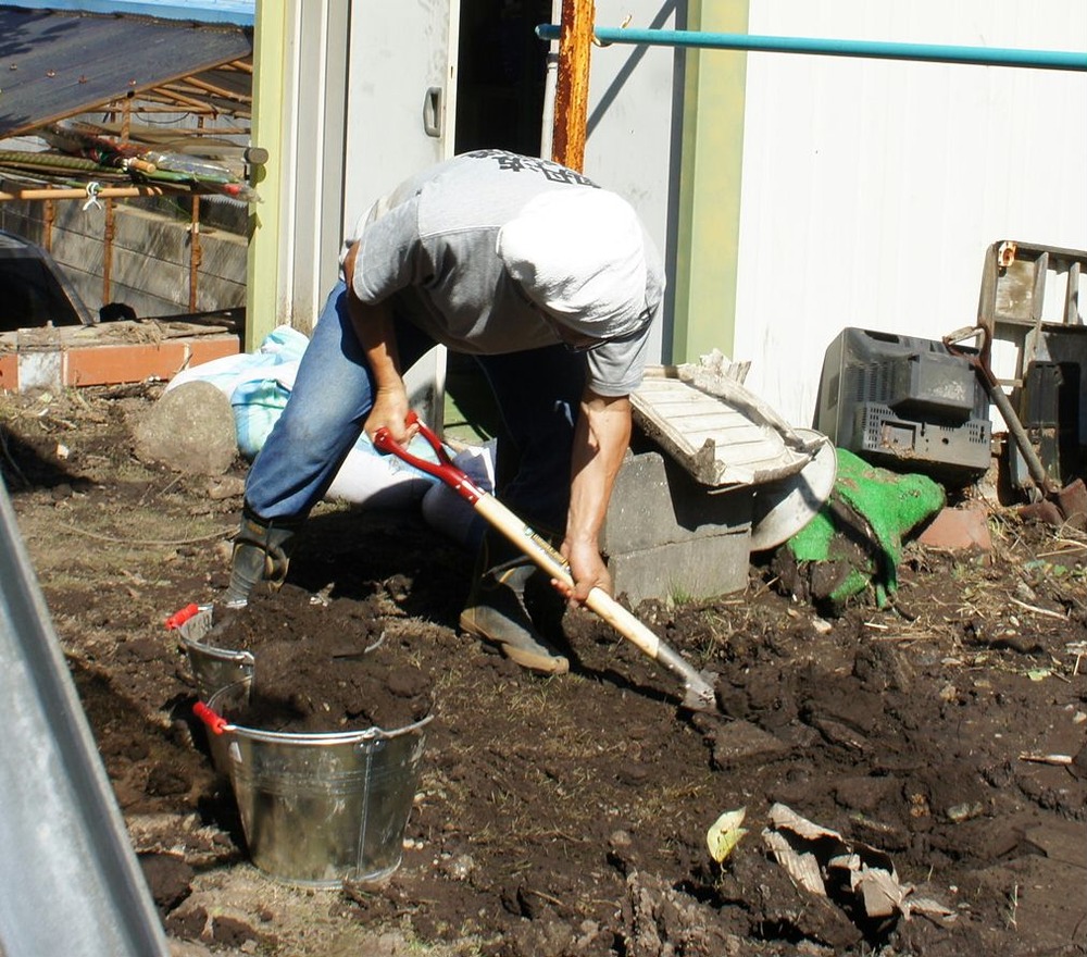 泥の搬出作業