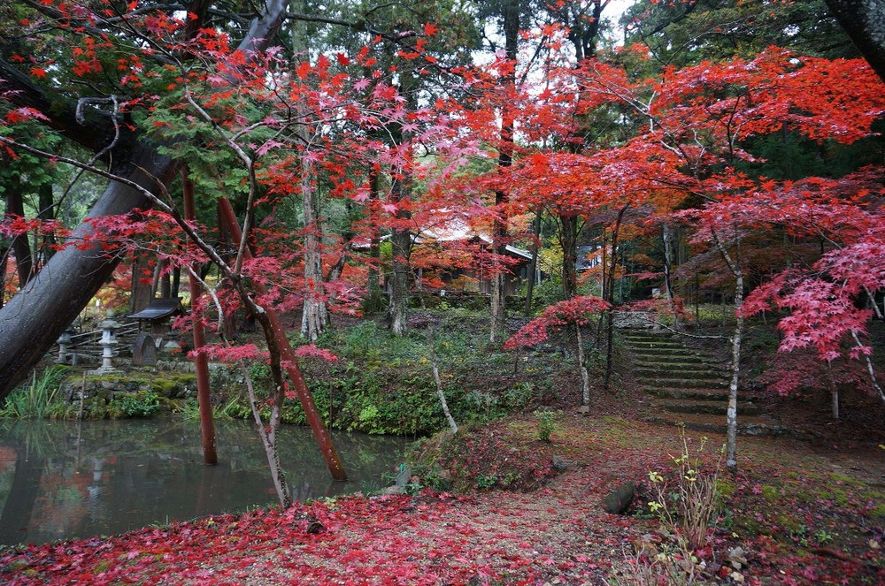 白毫寺１