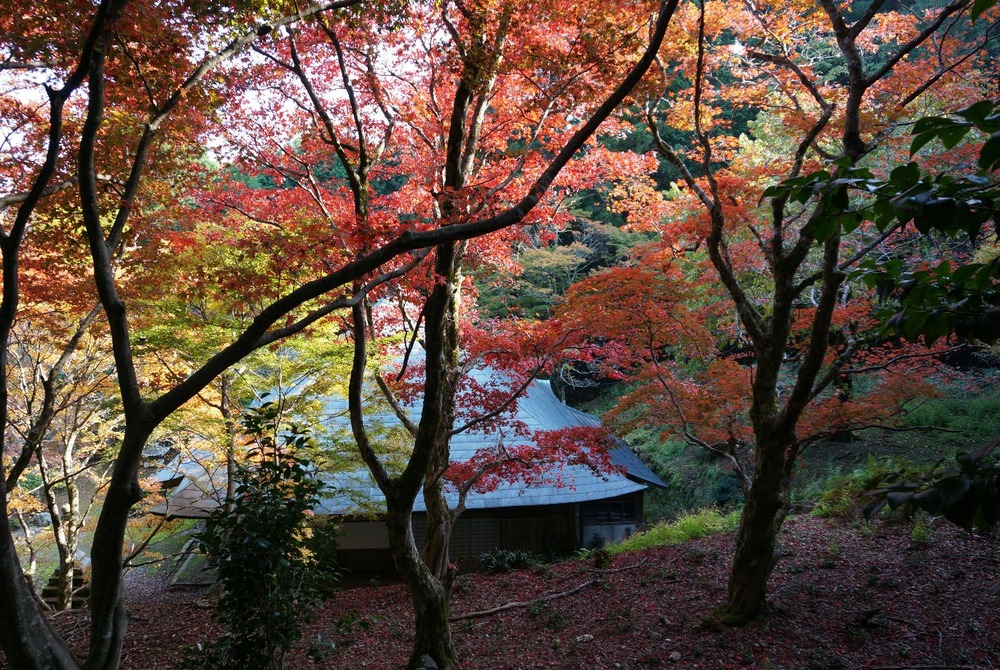 神池寺４