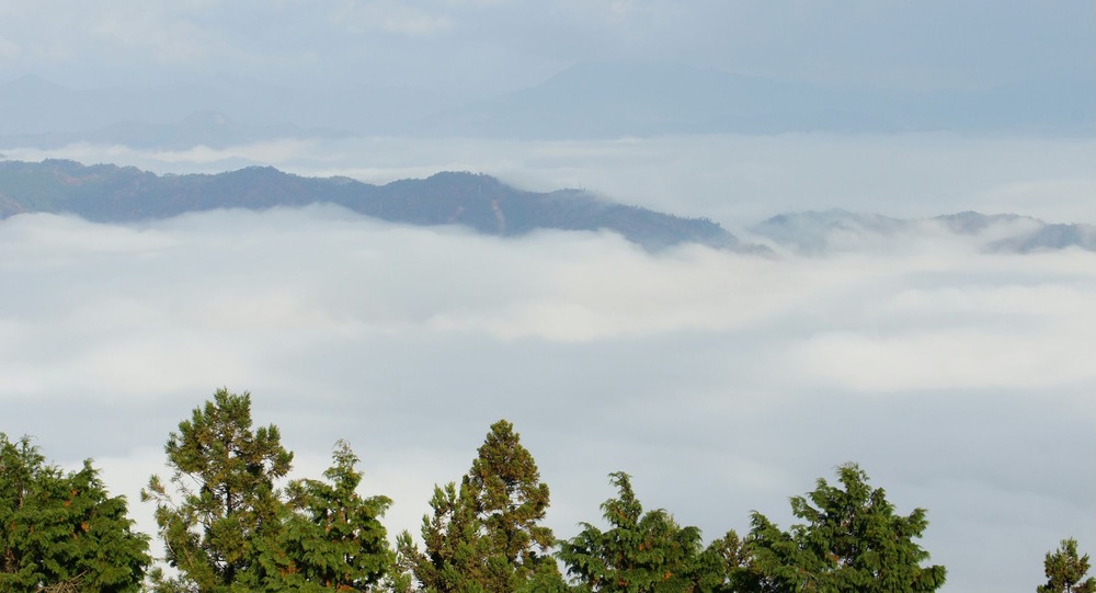 横峰山雲海３
