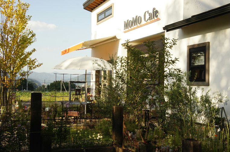 MOMOkafe