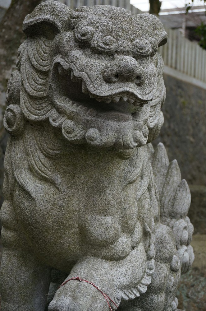 御霊神社の狛犬