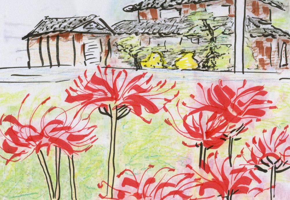 彼岸花の絵編集