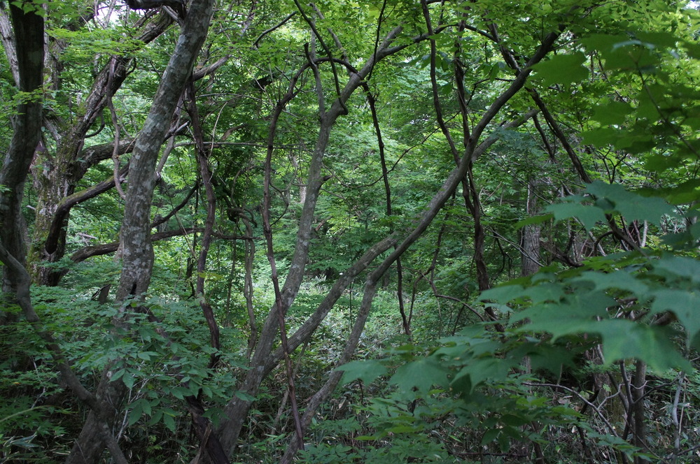 鉛土地６
