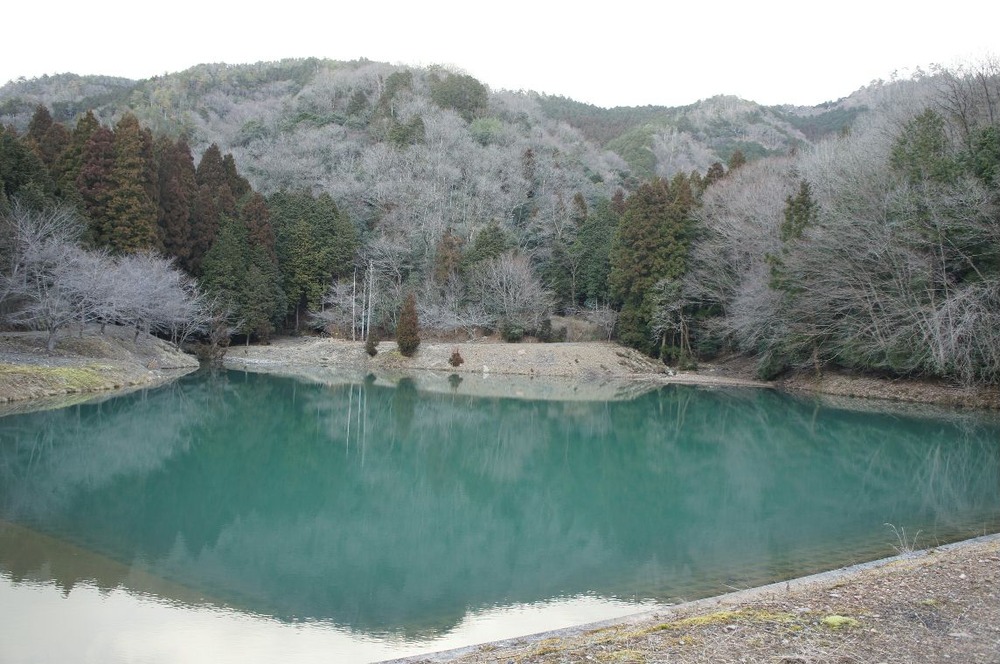 鴨ノ庄の奥にこんなため池が