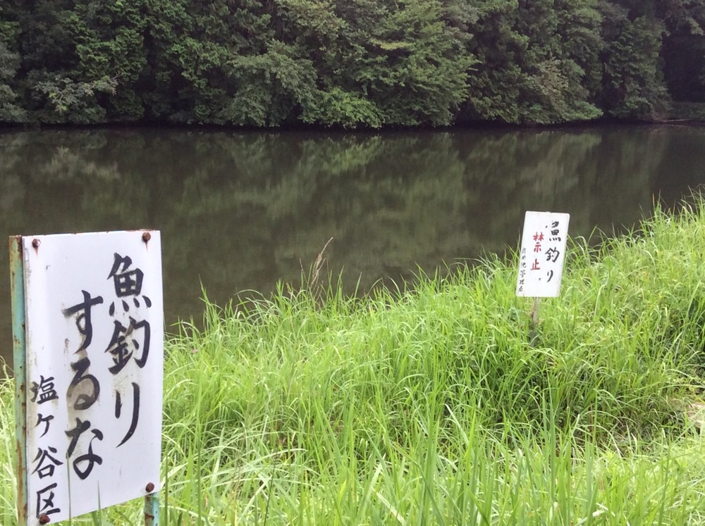 溜池３
