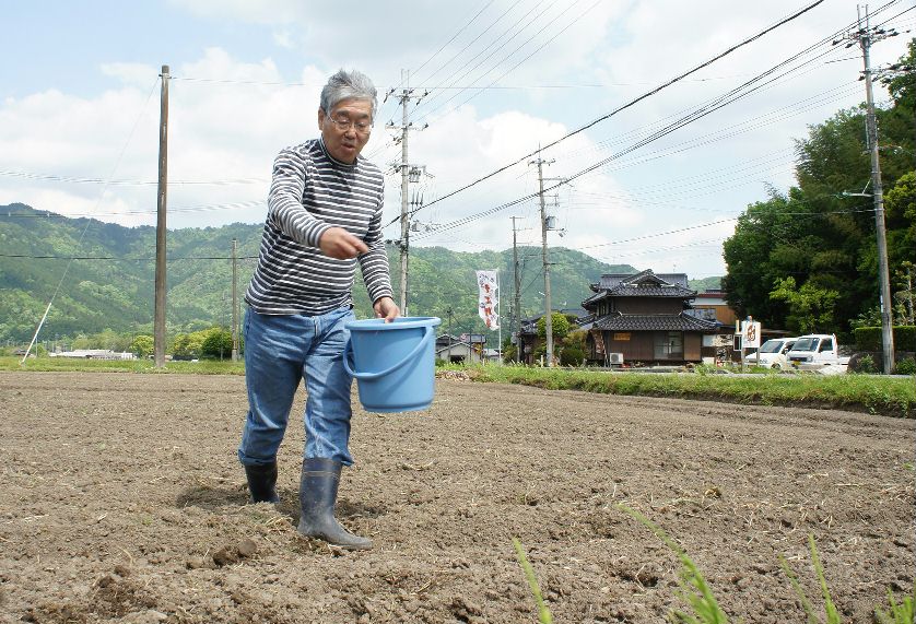 そばの種蒔５月８日