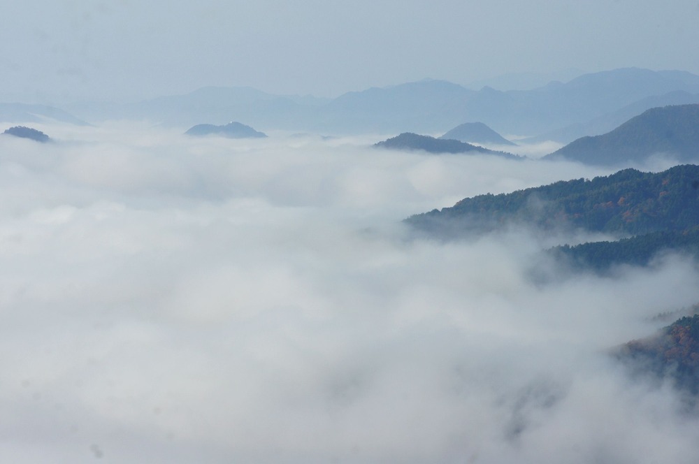 横峰山からの雲海１１