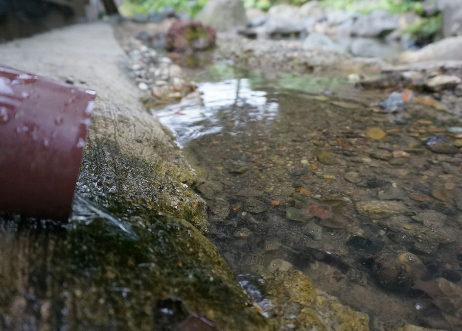 池に注水