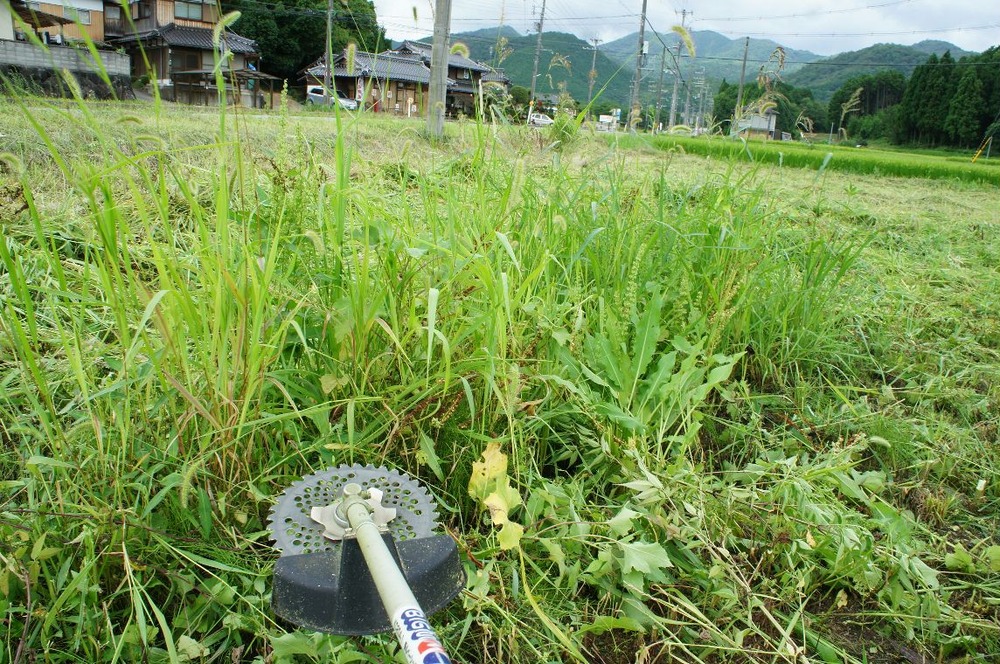 草刈終わるぞ