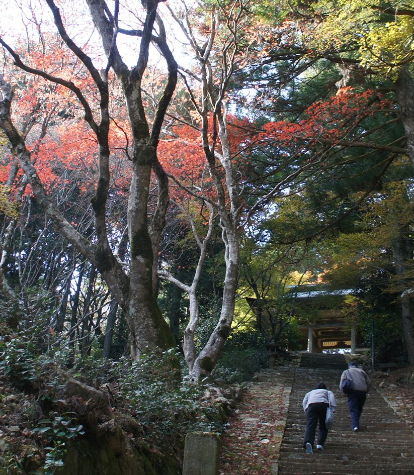 神池寺本堂参道