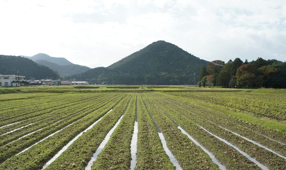 １１月３日朝小富士山