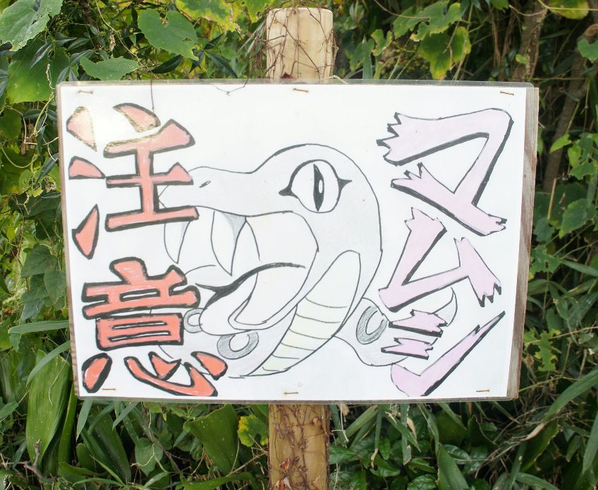 マムシ注意