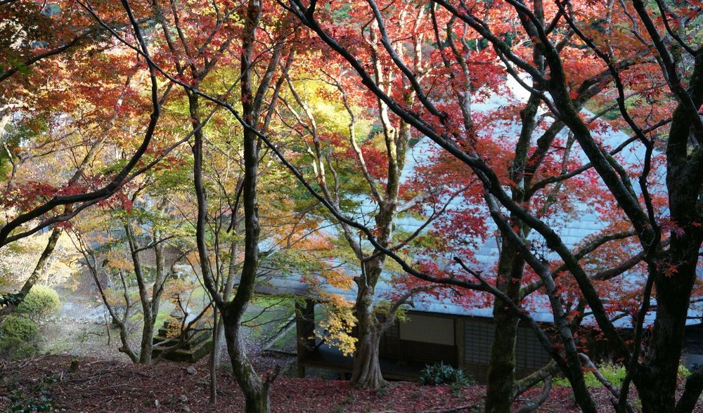 神池寺５