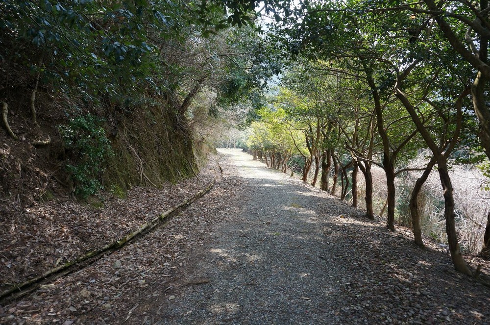 明治トンネルの道