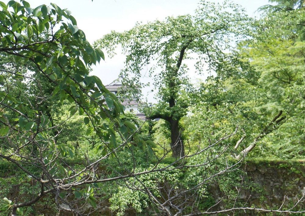 鶴が城