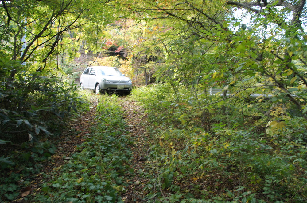 DSC01754