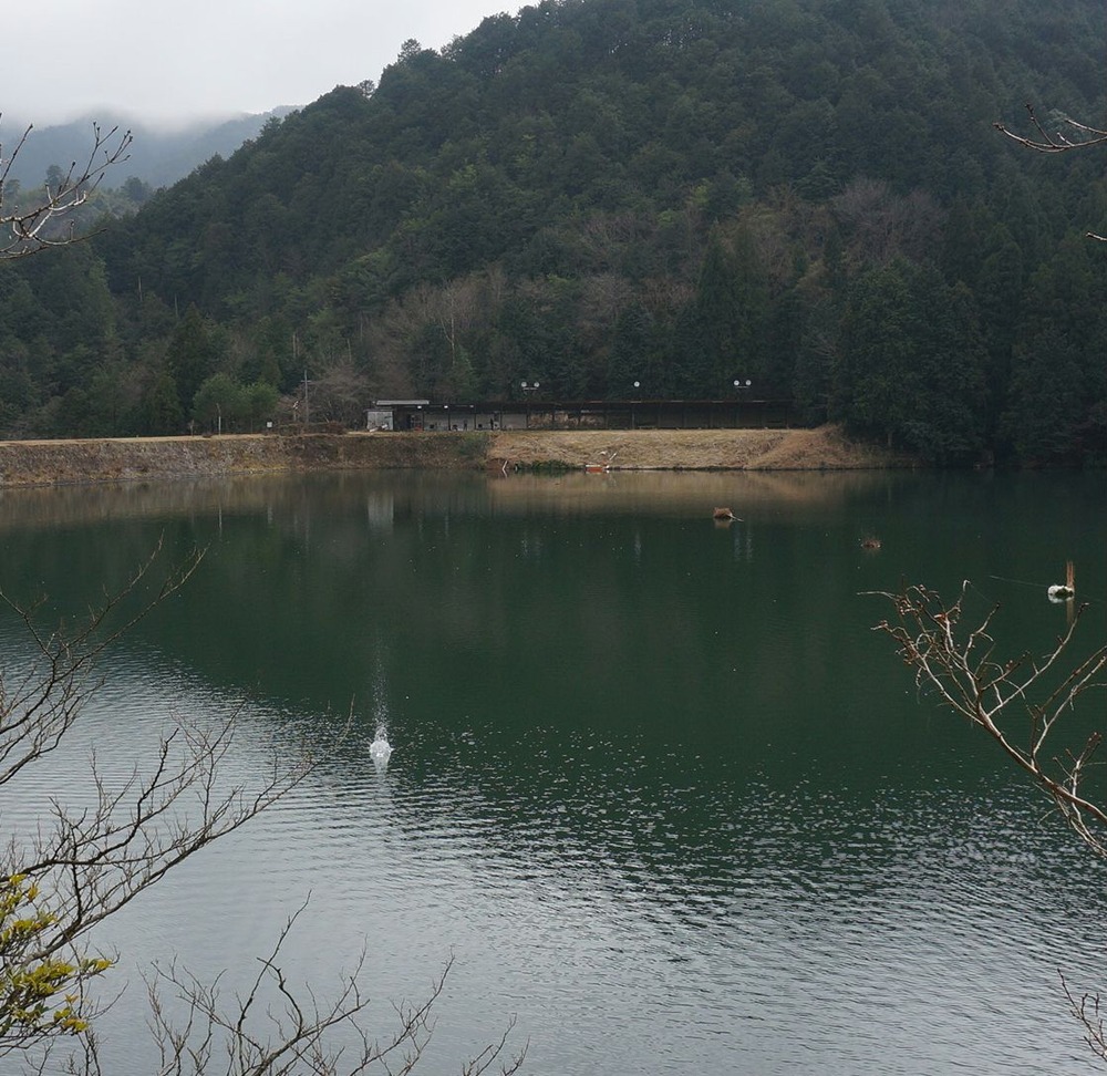 長谷大池のため池打ちっぱなし！