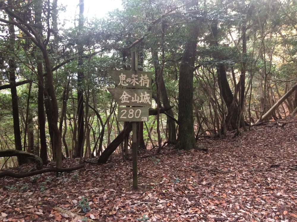 鬼の架け橋への登山道8