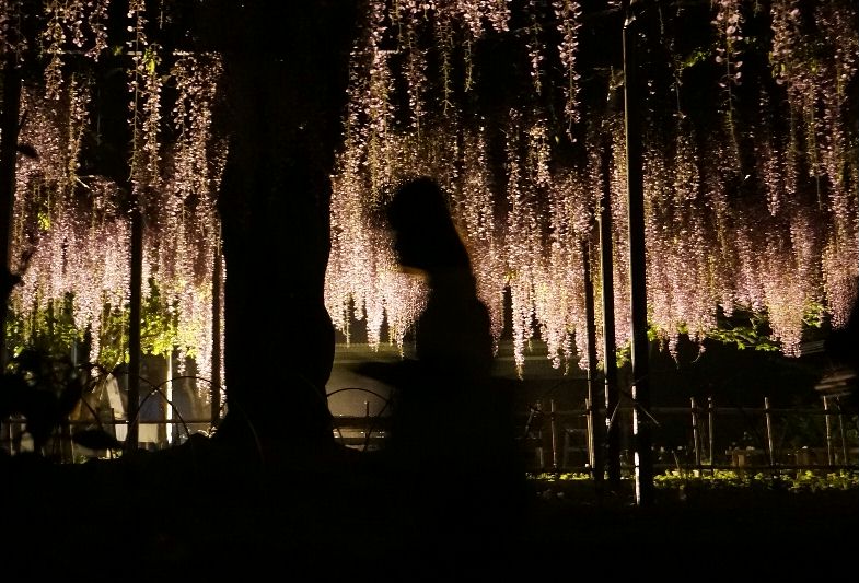 ５月７日夜１0