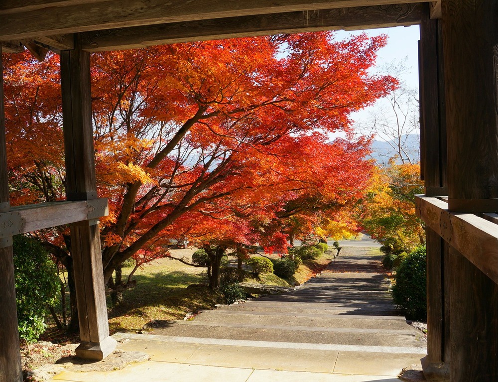 2106石像寺紅葉7