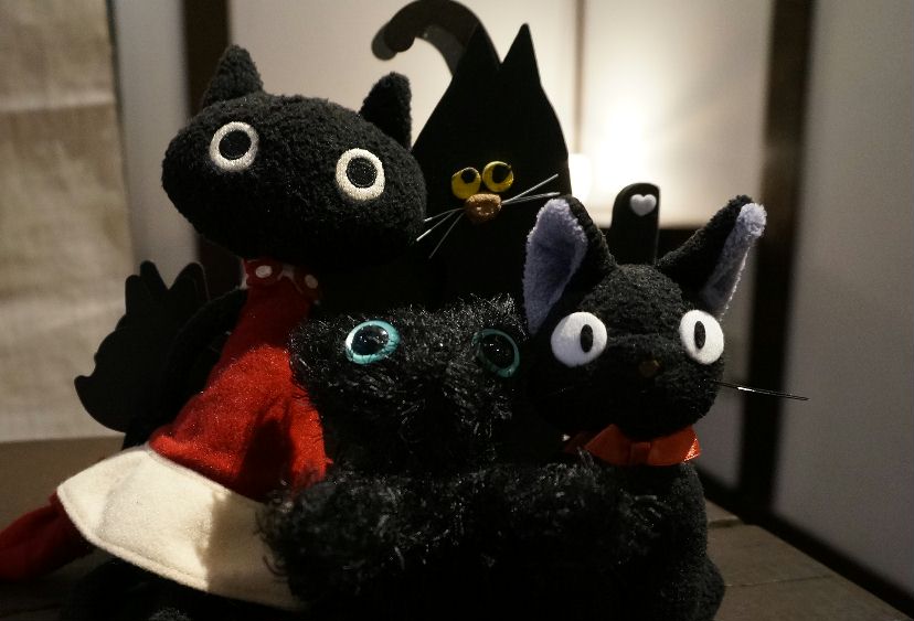 黒猫集合
