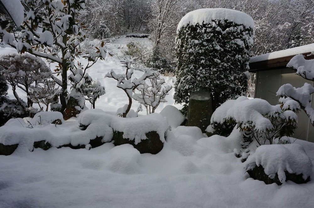 西平野町の雪