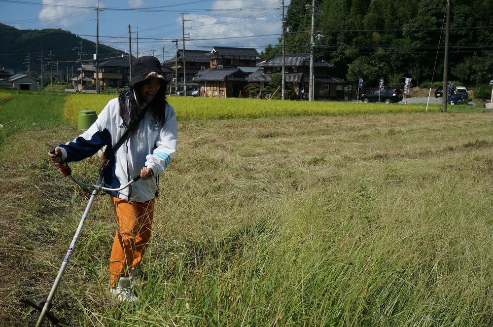 よっこ草刈