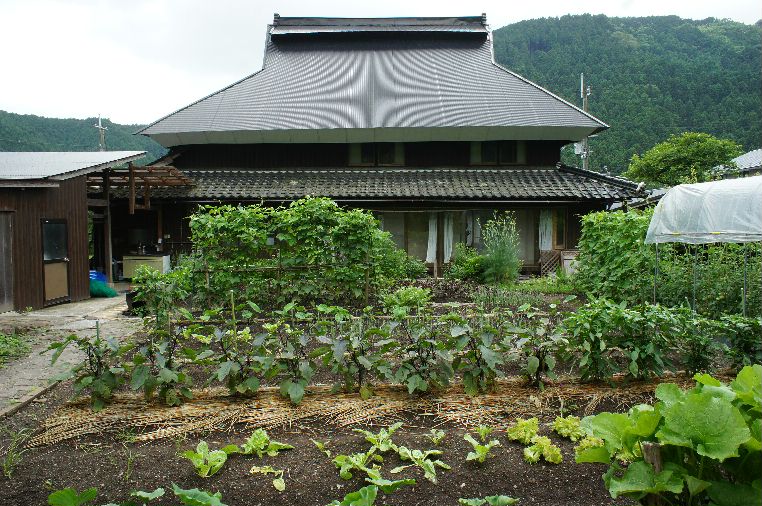 山口さんの畑