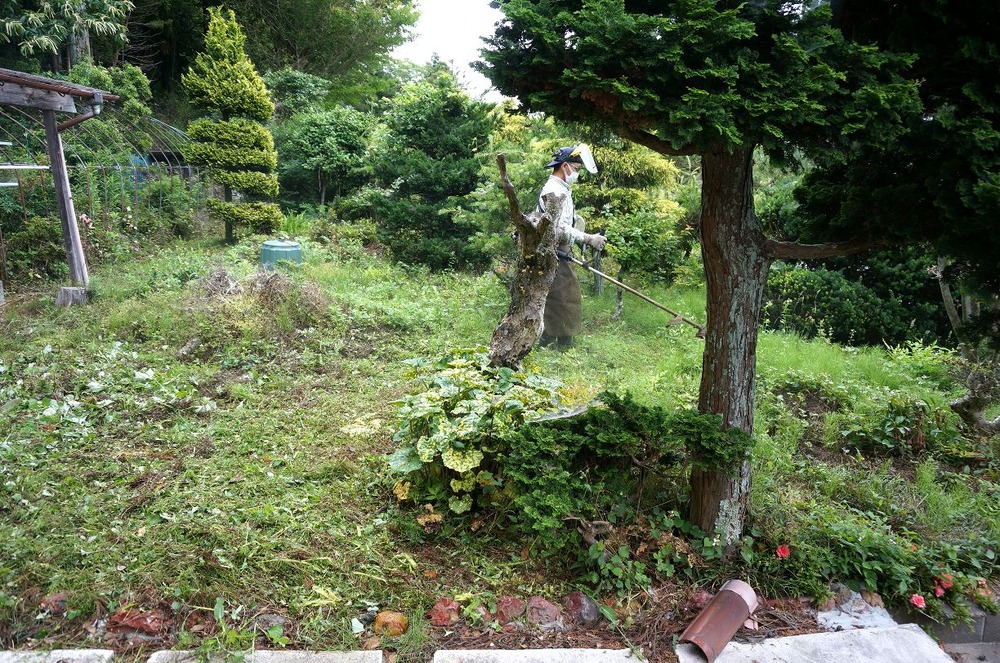 角田の家草刈