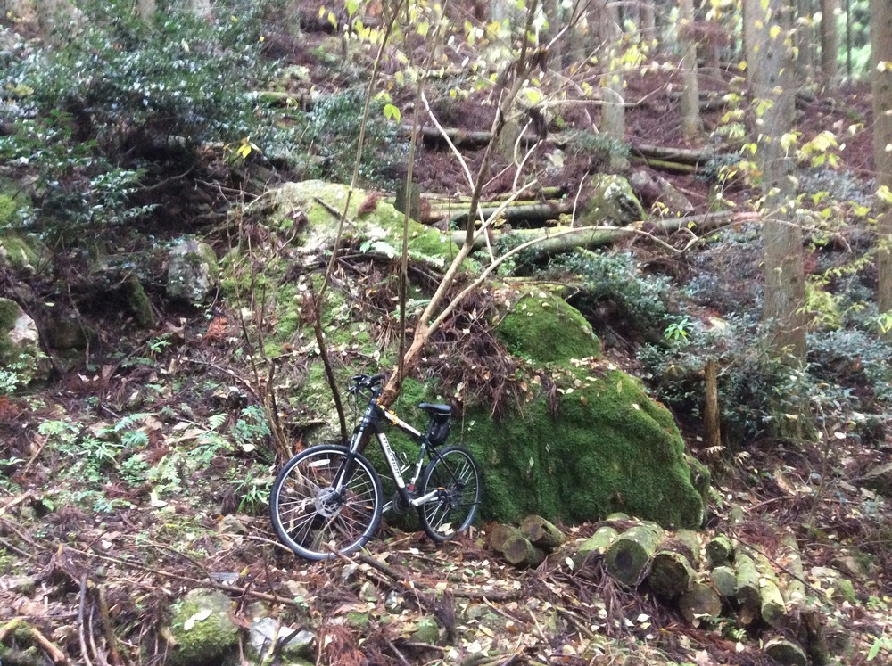 鬼の架け橋への登山道4