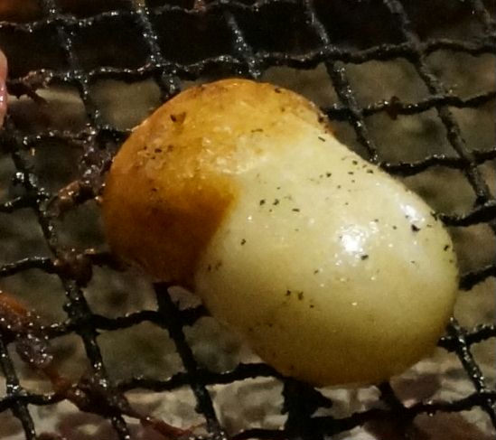 マツタケ？