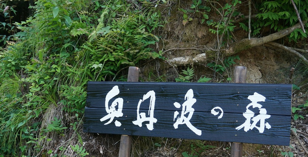 奥丹波の森