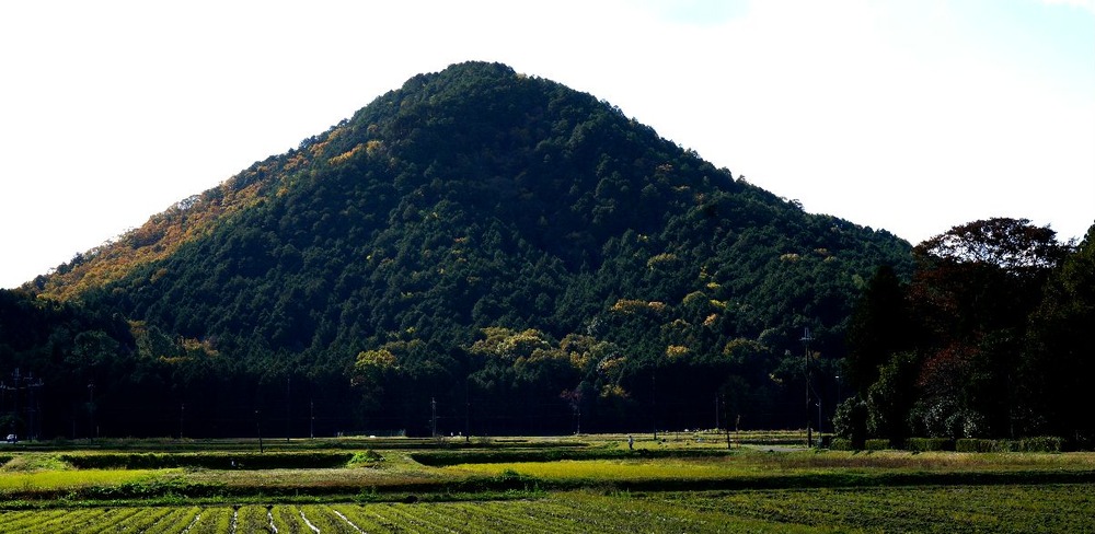 紅葉の