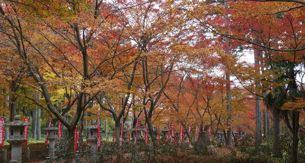 １４年高山寺の紅葉４