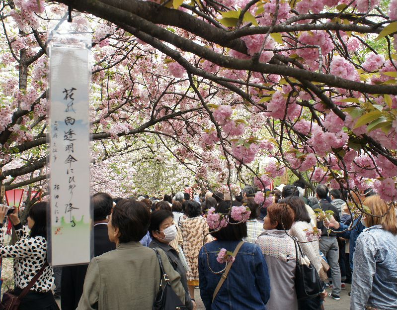 造幣局１３