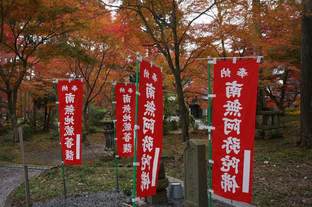 １４年高山寺の紅葉３