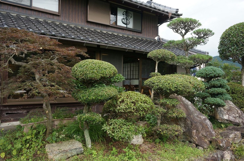 庭の剪定完了